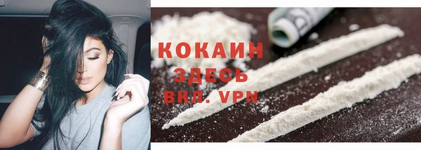 крисы Богданович