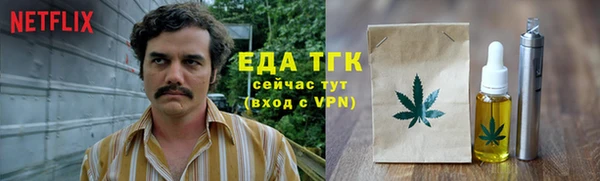 спиды Богородск