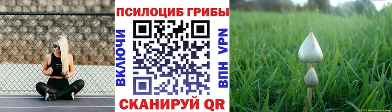 Псилоцибиновые грибы Psilocybine cubensis Челябинск