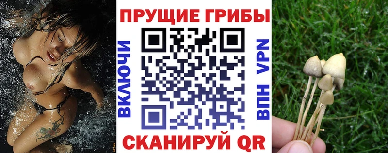 Псилоцибиновые грибы прущие грибы  купить наркотик  Челябинск 